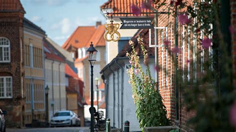 sex i viborg|Viborg